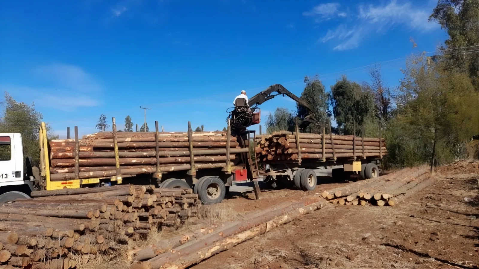 Carguío de camión con polines en terreno