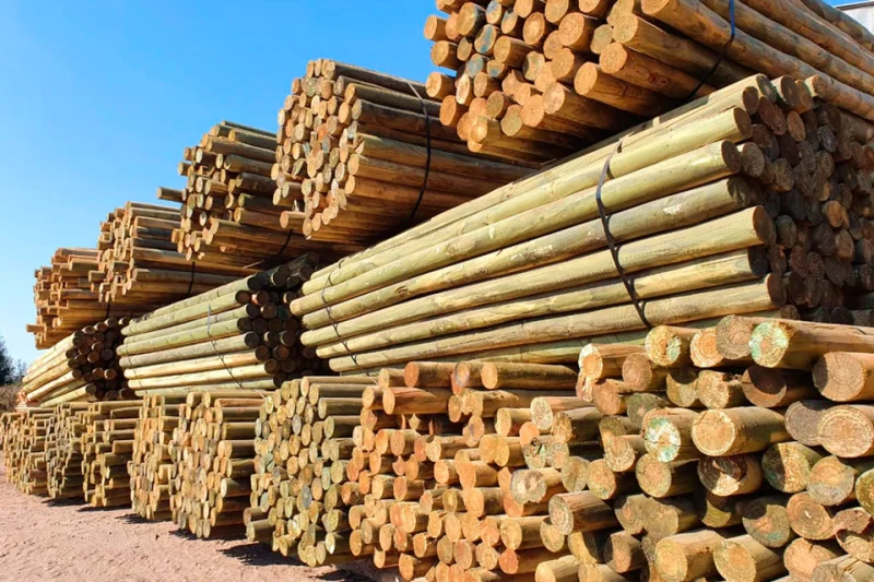 Polines impregnados apilados en patio de acopio de Maderas Trinidad